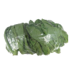 Chinese Broccoli